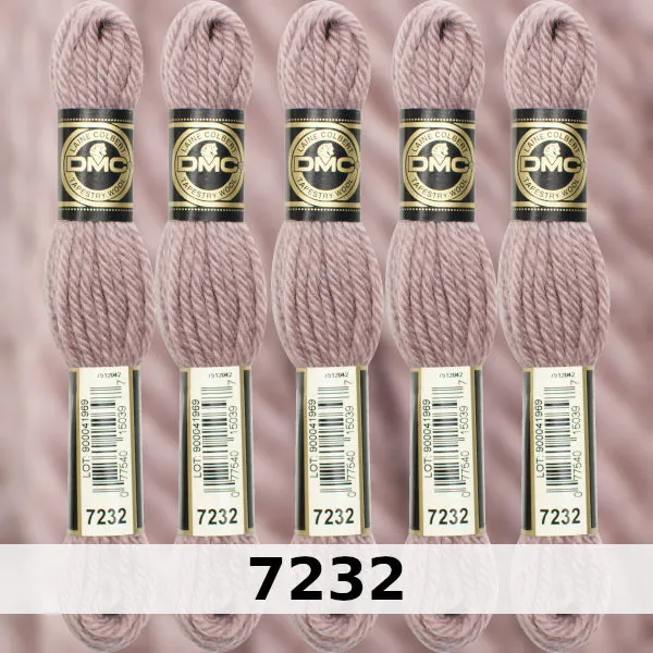 DMC Tapestry Wool 5 - Columns 17, 18, 19 and 20 on shade card