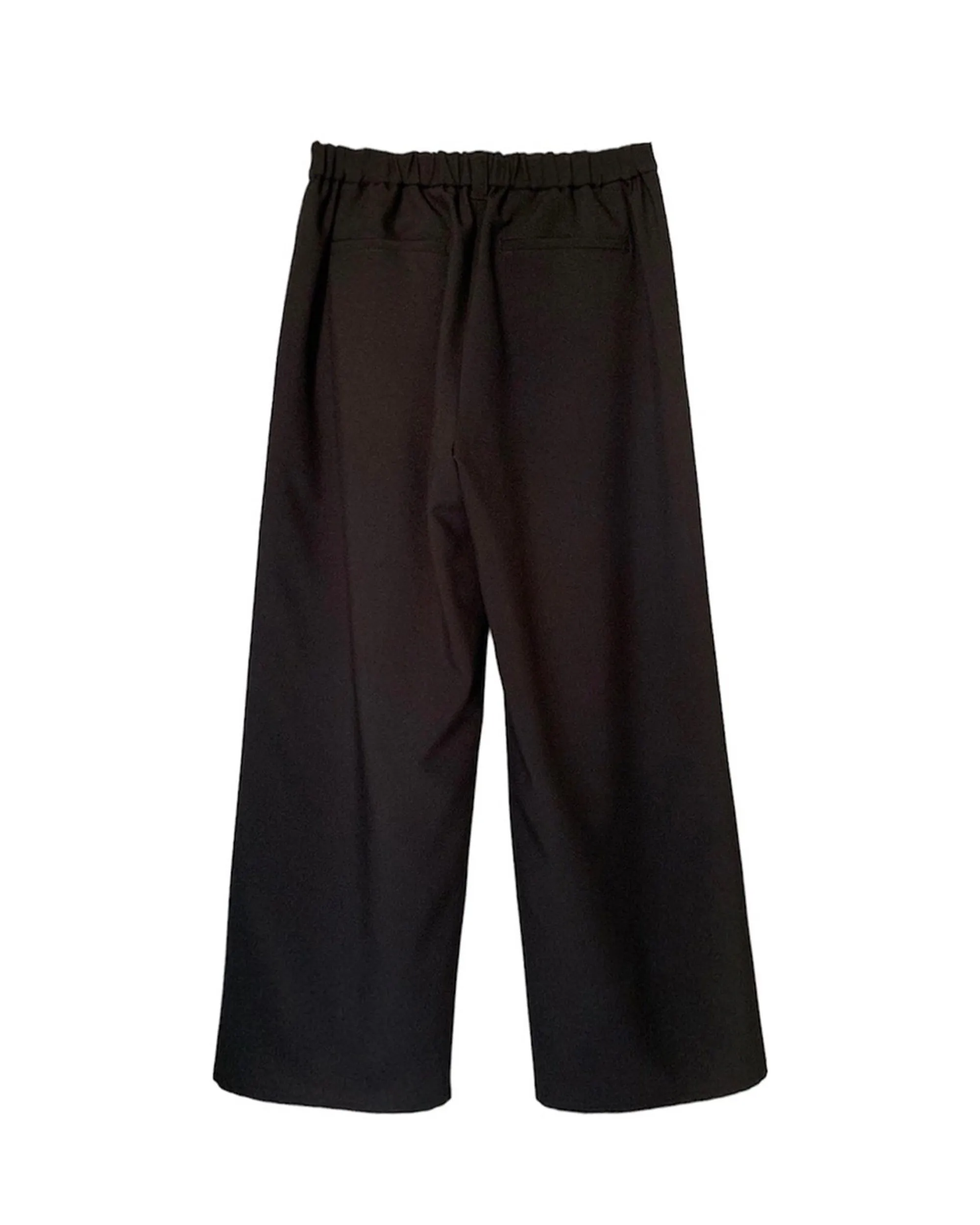 IJIIT Wool Feel Pleated Pants